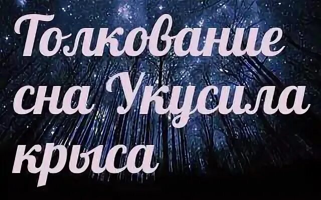 К чему снится что кусают мыши. Сонник-толкование снов к чему снится крыса. Приснились крысы к чему сон. К чему снятся крысы кусаются. К чему снятся крысы во сне женщине.