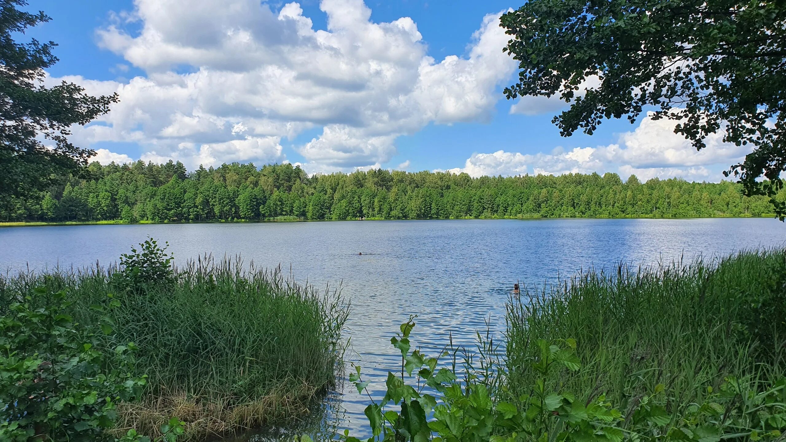 Озеро светлояр какой город. Озеро Светлояр Нижегородская область. Озеро Светлояр пляж. Мостки озеро Светлояр вокруг. Озеро Светлояр Березовая аллея.