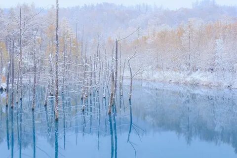 Водоем голубая