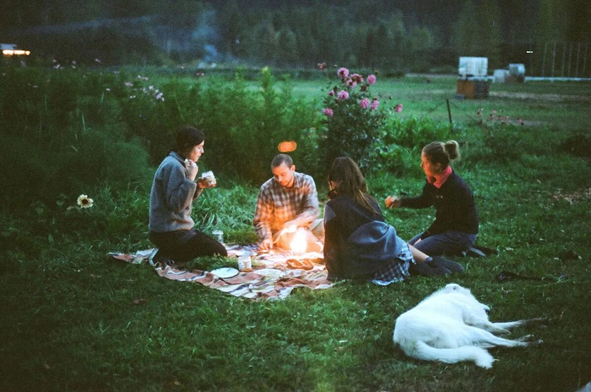 Night Outdoor Party. Outdoor Blanket. Tereza's Picnic in the Forest - Tereza_part2. Песни пикник ночь