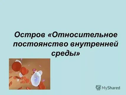 Относительное постоянство химического состава