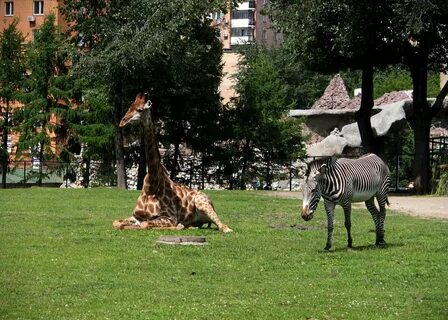 Сколько видов в московском зоопарке