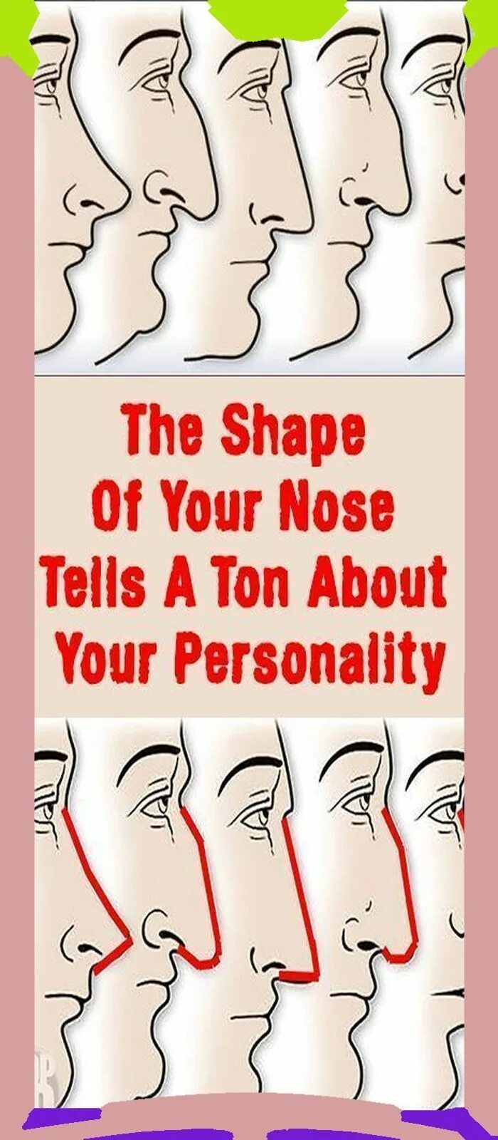Nose shapes. Your nose. parts of your nose. nose shape and nationality.