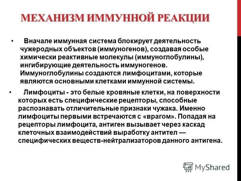 что такое иммунная реакция