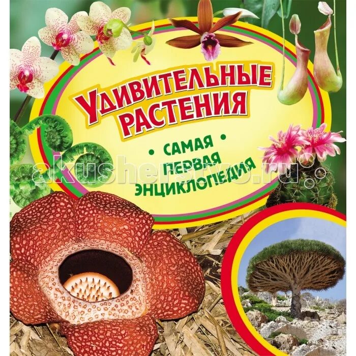 Самая растительная страна. Топиарное искусство версаль франция. Самая растительная страна. Руанда природа. Растения символы разных стран.