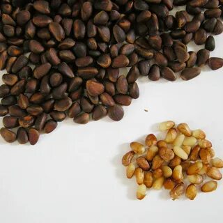 Каленые кедровые орехи