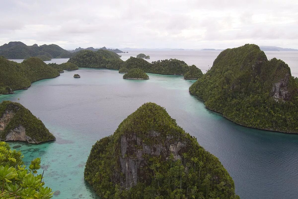 Острова Раджа-Ампат. Западное Папуа - Raja Ampat. Западное Папуа (провинция Индонезии). Остров новая Гвинея.