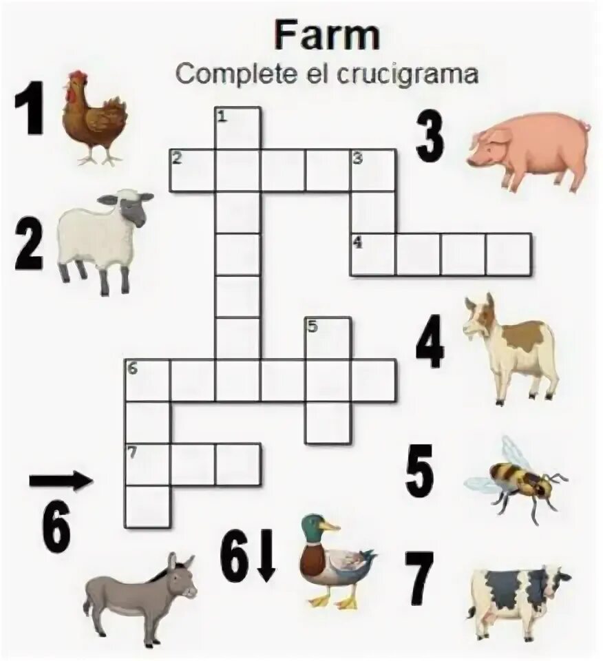 Математика по теме домашние животные. Кроссворд на английском. кроссворд на тему животные на английском. кроссворд по теме животные на английском языке. кроссворд про животных на английском.