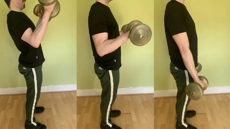 Curl init. Zottman curl. dumbbell waiter curl. 45 incline zottman curl. db waiters curls.