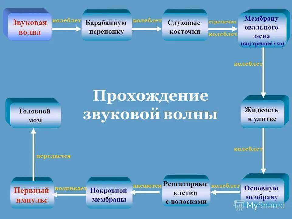 Общее образование. Презентация на тему образование. Конспект по теме образование 8 класс. Образование обществознание 8 класс конспект. Обществознание тема образование.