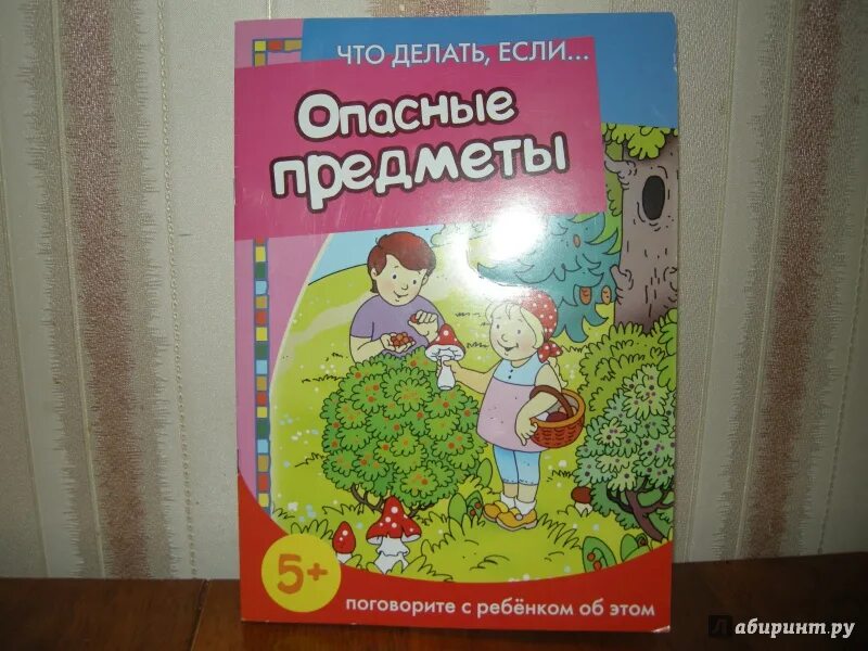 Книга опасные предметы. Евдокимова н. "конец света". Опасные предметы р Лабиринт. Рассказ конец света н Евдокимова. Н конца н края