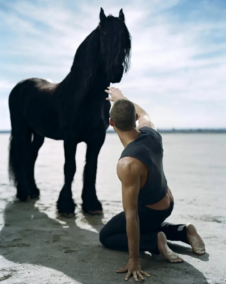 Конь мужик баб. Мужчина на лошади. Фотосессия с лошадьми. Парень на коне. Красивый мужчина на лошади.