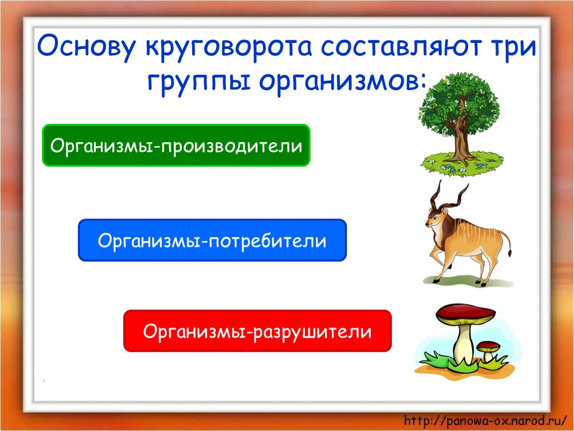 Потребители первой группы. Великий круговорот жизни производители потребители Разрушители. Модель по окружающему миру 3 класс Великий круговорот жизни. Великий круговорот жизни 3 класс организмы производители. Производители потребители Разрушители.