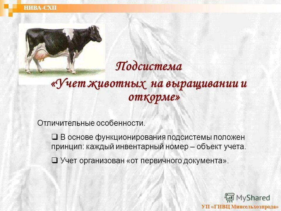 Учет животных на выращивании и откорме. Методики учета охотничьих животных. Карточка зимнего маршрутного учета. Маркировка домашних животных. Инвентаризация животных зверей и птиц.