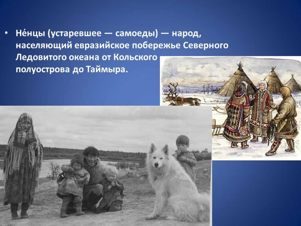 Самоеды ненцы. Якуты, ханты, манси. Ненцы в 17 веке в сибири. Селькупы остяки самоеды. Самоеды народность.