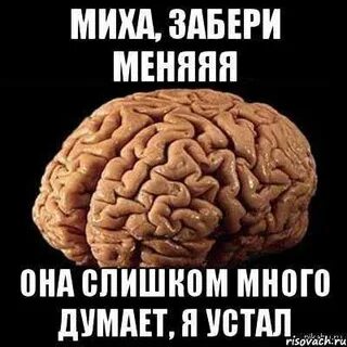 Устали мозги