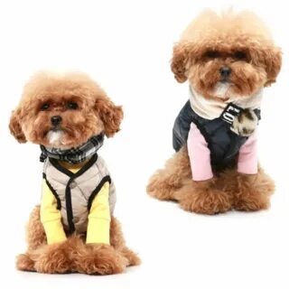 Dogs make