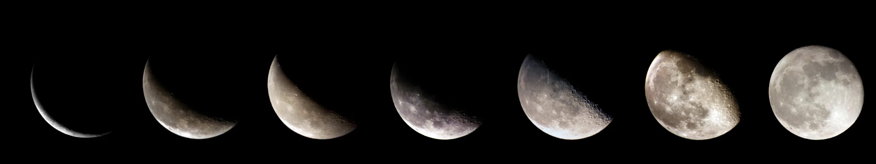 Коляска луна 3 в 1. Moon коляска 2 в 1. Moons cool. Moons cool. Коляска style 2 в 1 black moon.