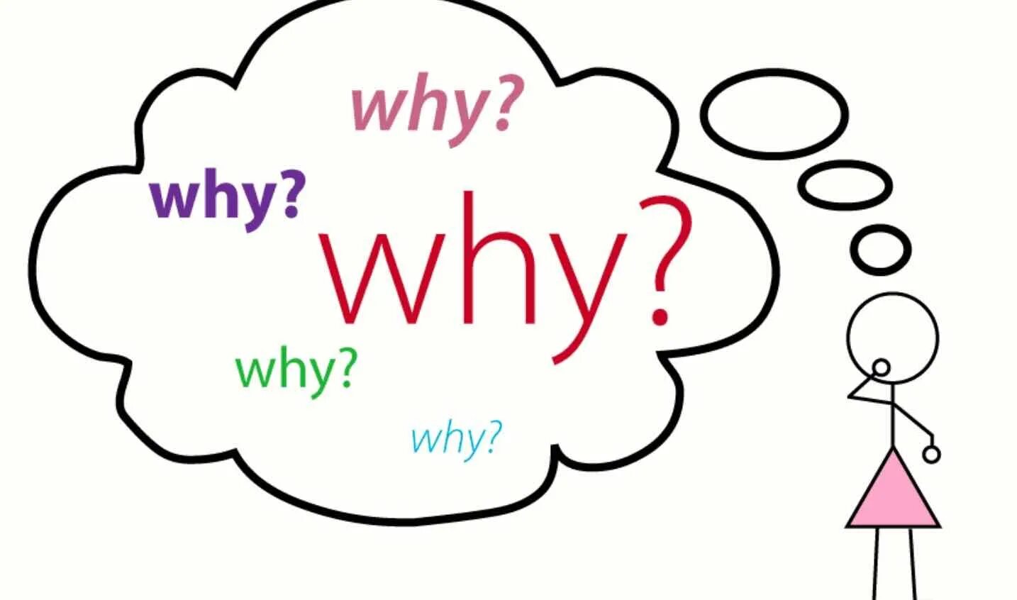 Why text. Why картинка. why why why. why рисунок. why картинка для презентации.