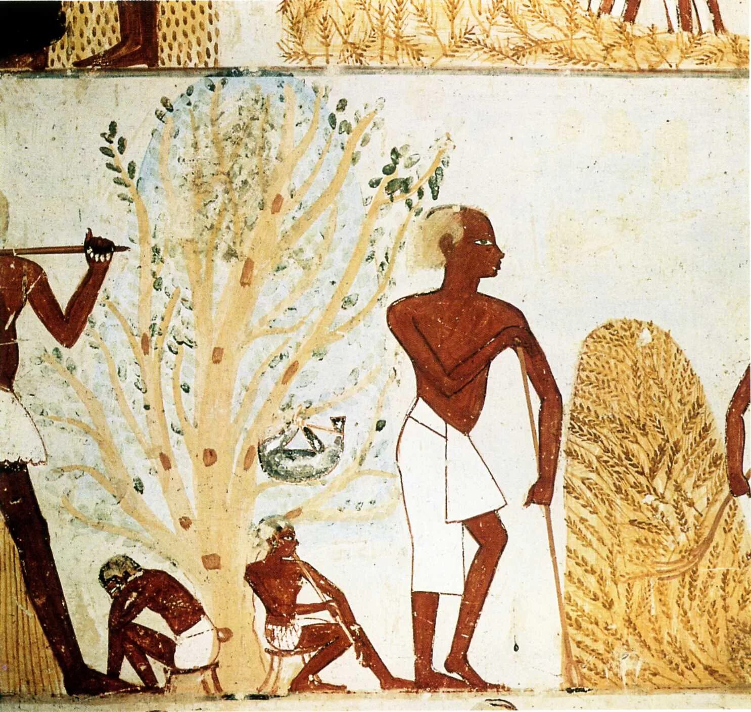 Церера богиня статуя. Богиня жатвы в риме. Деметра богиня. Деметра церера богиня. Теллура богиня.