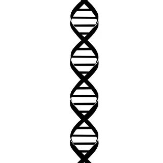 Double helix