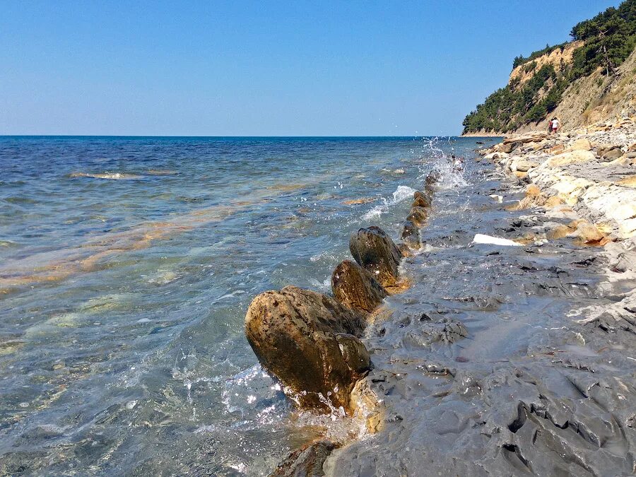 Криница черное море. Поселок Криница черное море. Загорая на берегу черного моря мы старались