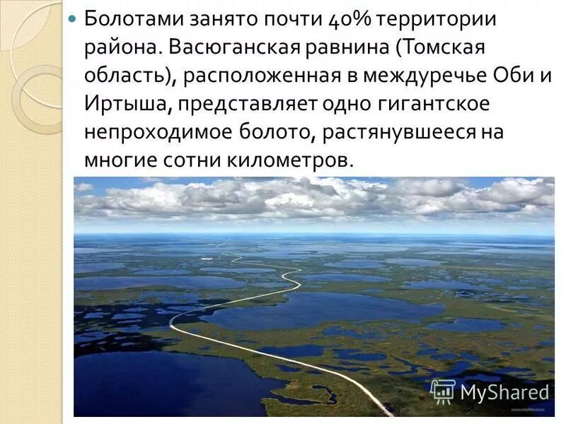 Более 10 территории россии занимают болота можно. Васюганские болота. Равнины Томской области. Междуречье Оби и Иртыша.