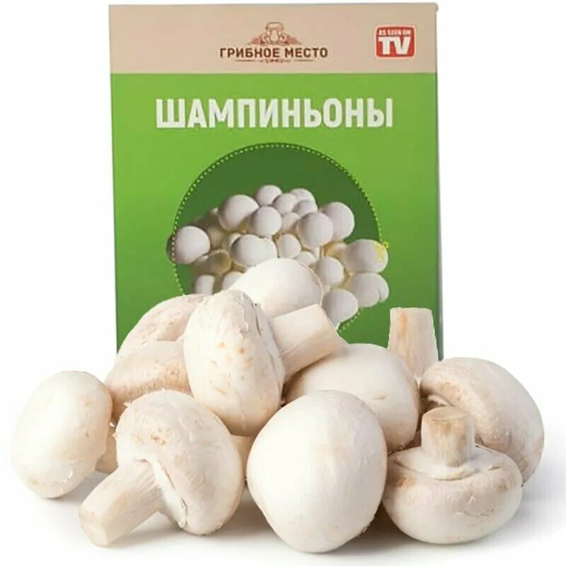 Семена шампиньонов. Семена грибов шампиньонов. Коробка с шампиньонами. Ящик для выращивания грибов.