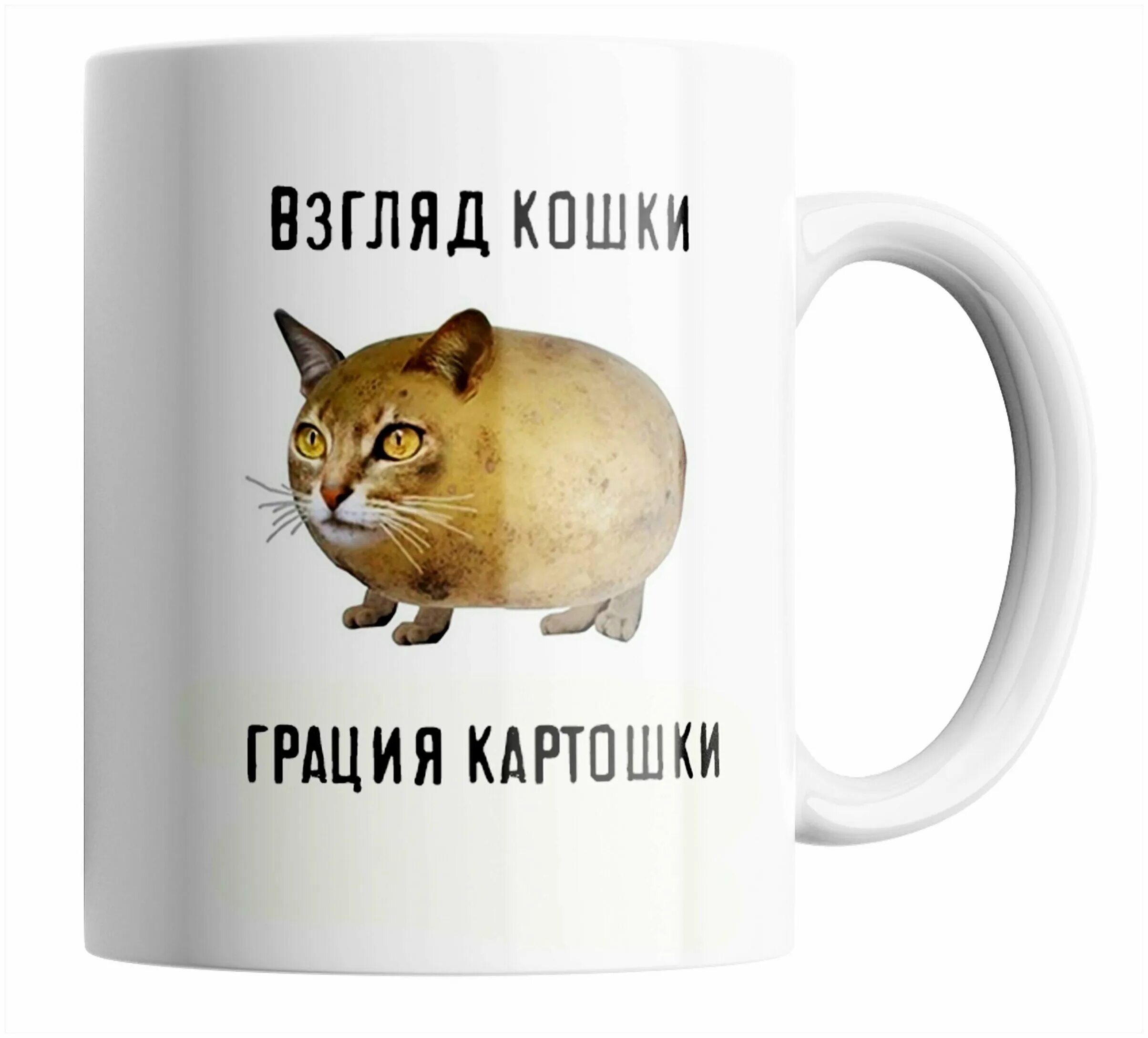 грация кошки ловкость. грация картошки ловкость картошки. грация кошки картошки. грация кошки картошки. фраза грация кошки ловкость картошки.