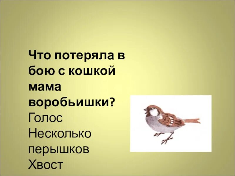 Краткое содержание воробьишки