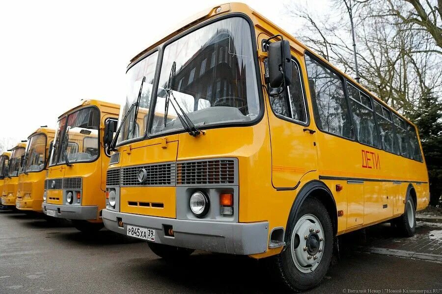 Желтый школьный автобус. Автобус желтый. Школьный автобус. Жёлтый школьный автобус. Желтый автобус Россия.