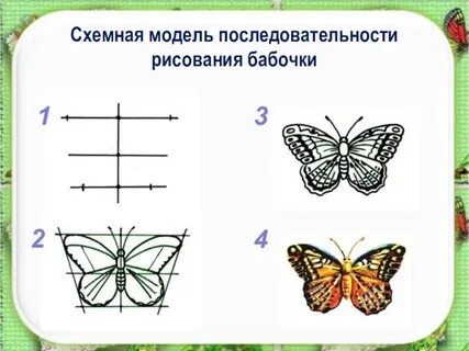 Конспект бабочки