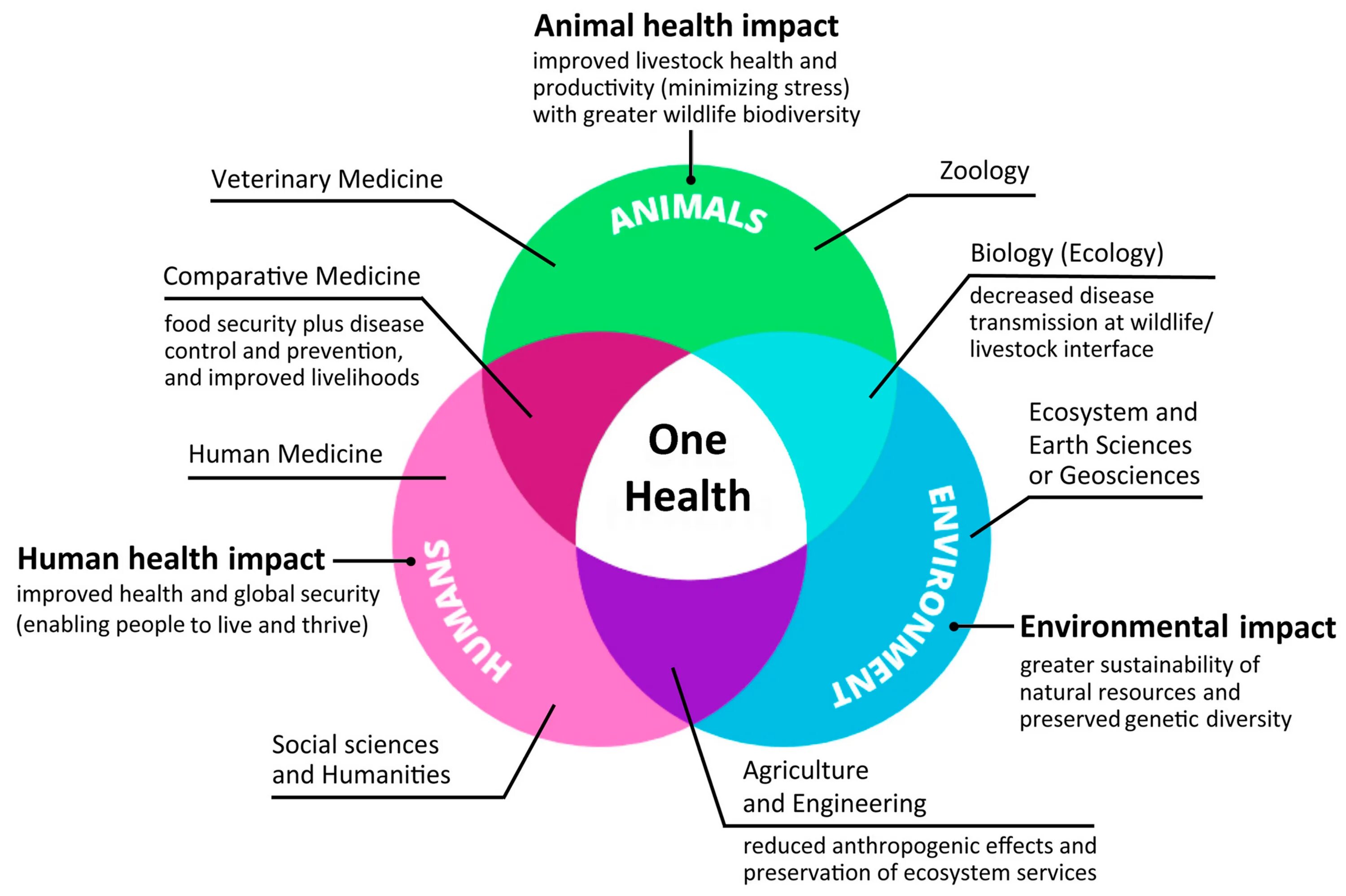 Текст импакт. Sustainability is. Sustainability Health. Human Sustainability. Sustainability meaning.