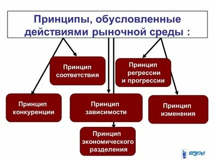 Зависимости и в соответствии с
