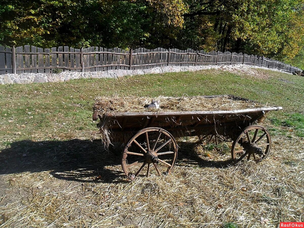 По домам телега. Телега. Телега старинная. Старая повозка. Древние телеги.