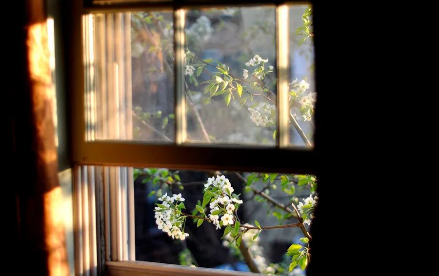 Sun open windows