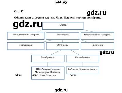 Биология 9 бодрова