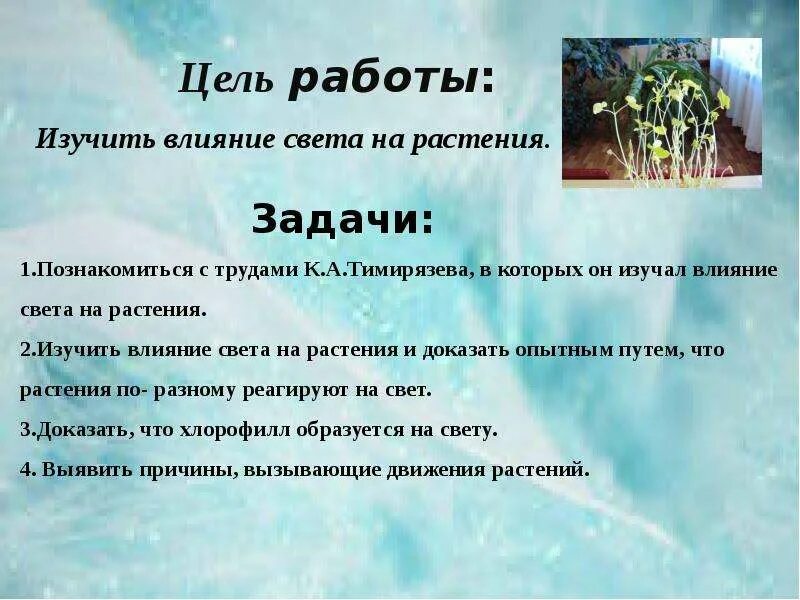 Света воздействие на воду. Влияние света на растения. Опыт влияние света на рост растений. Опыт влияние света на растение. План влияния света на растения.