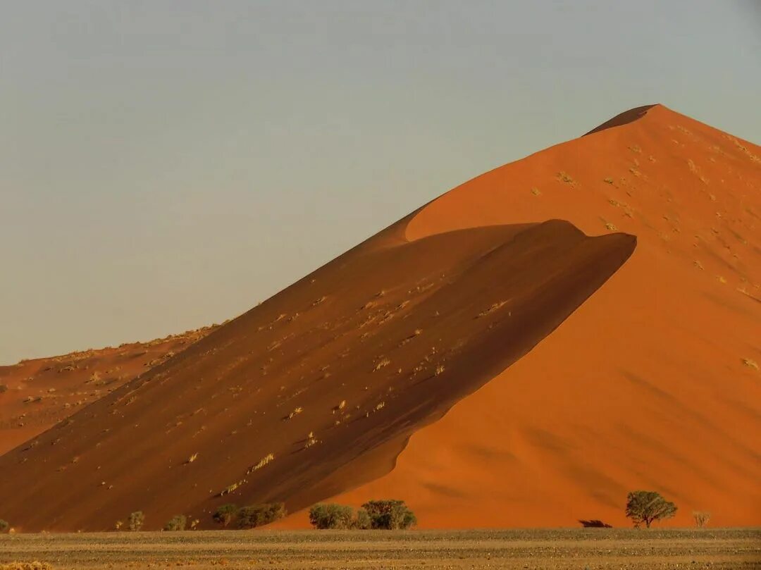 Cuál es el desierto más grande del mundo