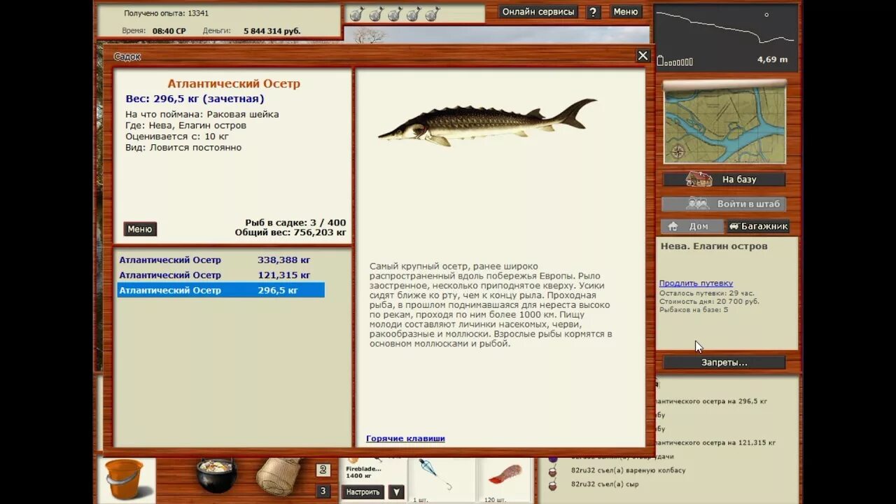 Русская рыбалка Атлантический осетр. Атлантический осетр рр3. Осетр в рр3. Русская рыбалка квест осетры.