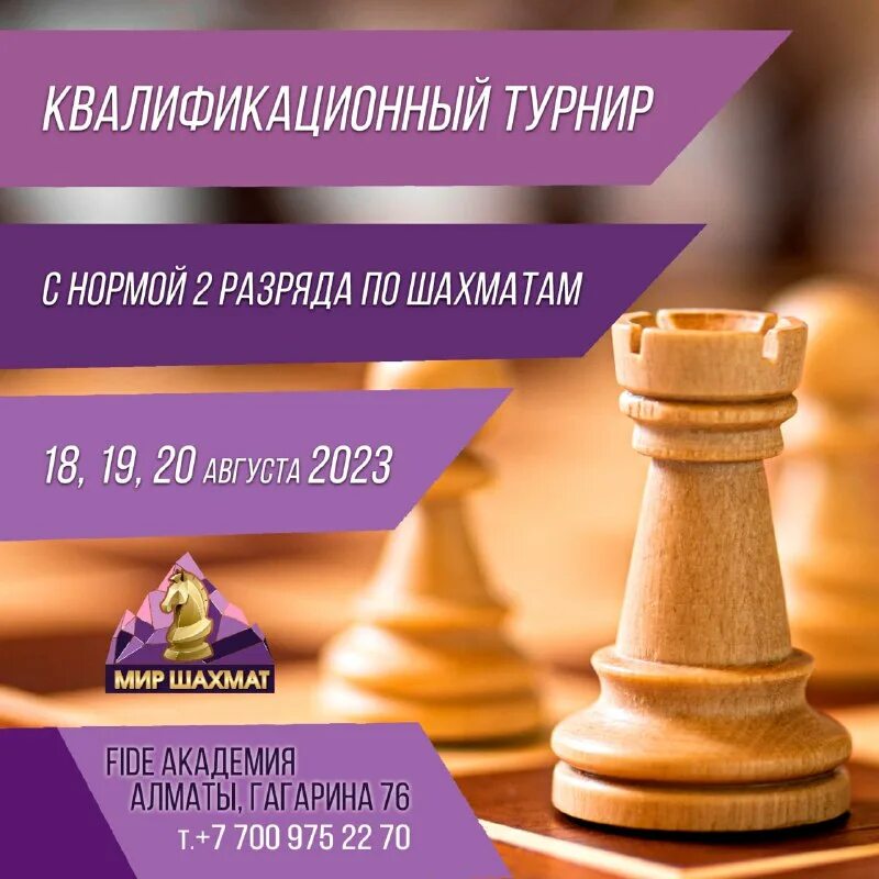 основной показатель уровня шахматиста. основной показатель уровня шахматиста. рейтинг основной показатель уровня шахматиста. динамика в работе с учащимися. этапы в шахматах.