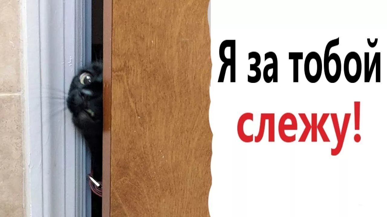 Я за тобой чую грешок. Я слежу за тобой. я слежу за тобой прикол. слежу за тобой картинка. картинка служу за тобой.
