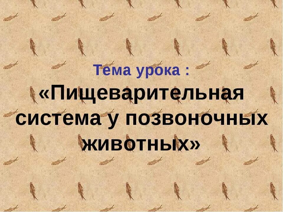 Урок питание и пищеварение у позвоночных животных. Урок питание и пищеварение у позвоночных животных