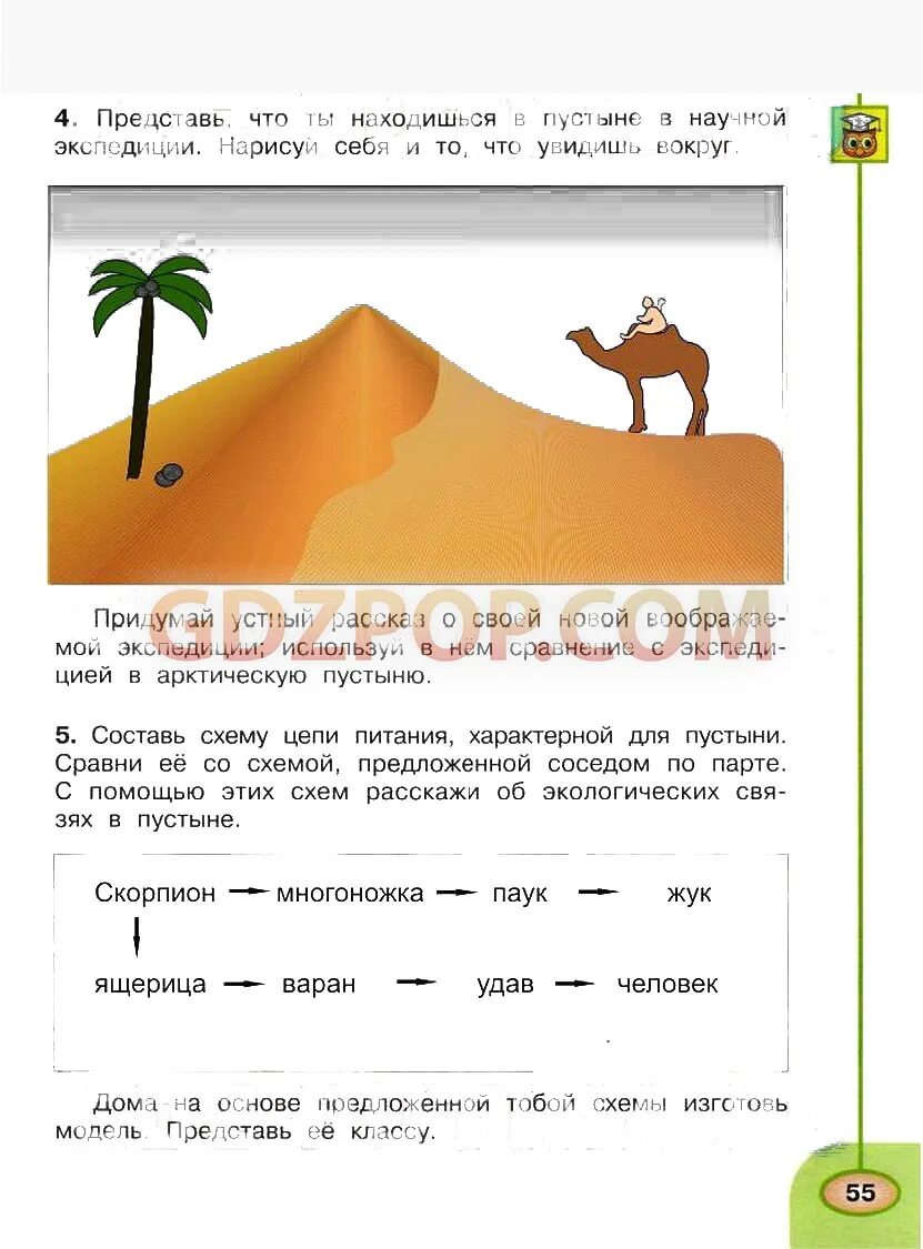 Тест пустыни 4 класс ответы. Схема питания пустыни 4 класс. Пустыня 4 класс окружающий мир. Пустыня окружающей окружающий мир 4 класс. Цепь питания пустыни.