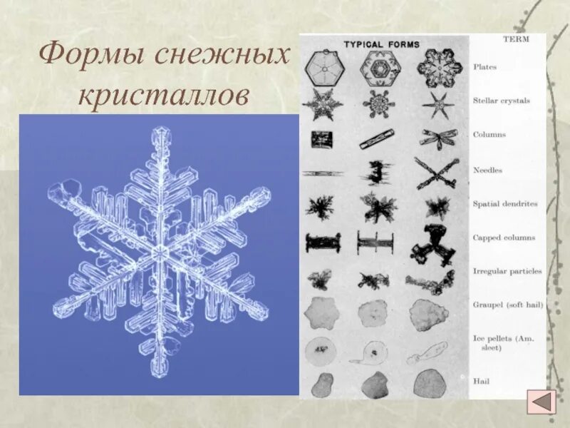 Типы снежных кристаллов. Формы кристаллов снега. Форма для снега. Снежинка Кристаллы презентация.