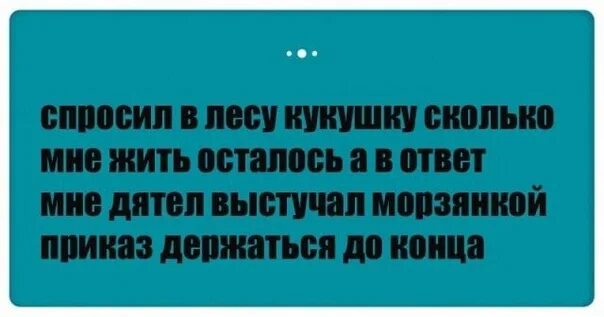 Сколько жить осталось все. Приколы про сорок лет женщине. Кукушка Кукушка сколько мне жить осталось. Шутки про сорок лет женщине. Скоро 40 лет.