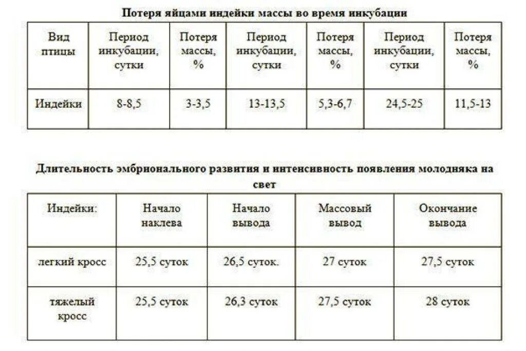 Сколько инкубируются яйца. Вывод индюков в инкубаторе режим инкубации таблица. Таблица инкубации индюшиных яиц в инкубаторе. Таблица инкубирования индюшиных яиц. Инкубация индейки яиц режим инкубации таблица.