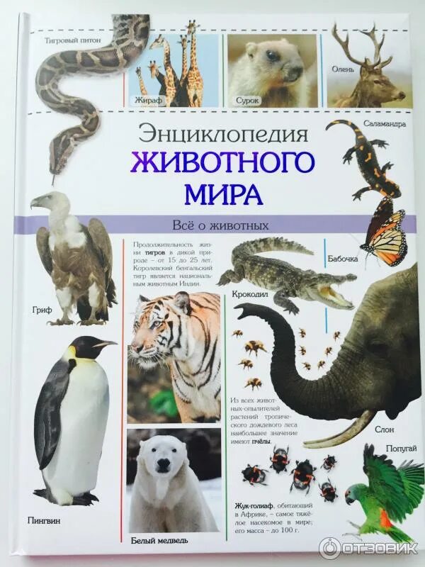 Самые интересные энциклопедии