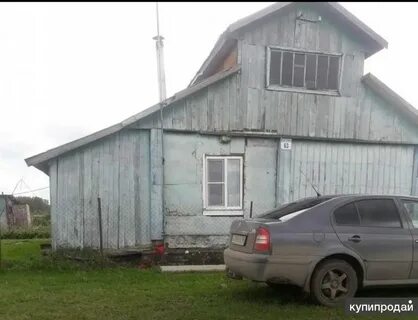 Авито каргат