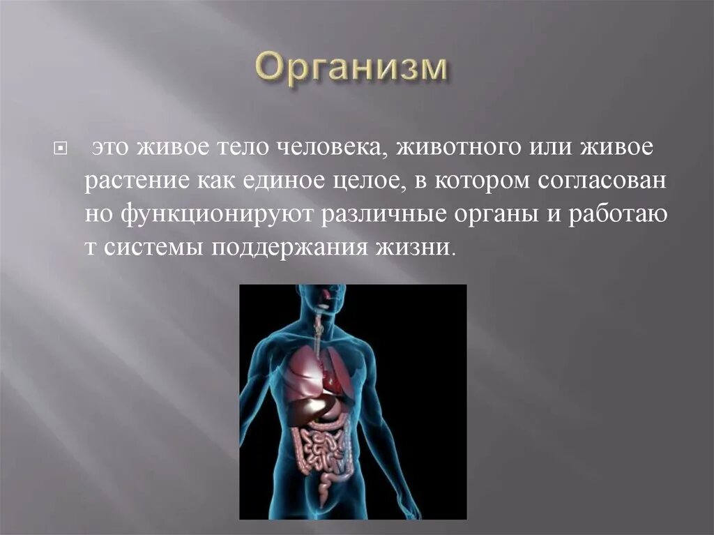 Организм человека. Внешняя среда и ее воздействие на организм. Организм человека презентация.